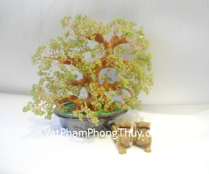 Cây đá cẩm lãm trung CA241